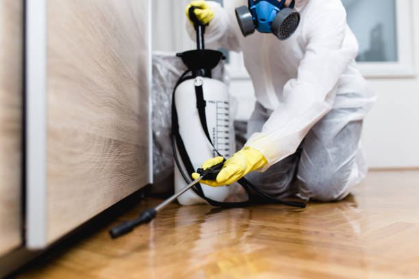 Best Emergency Pest Control  in Prescott, AR