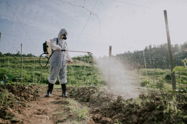 Best Local Pest Control Services  in Prescott, AR