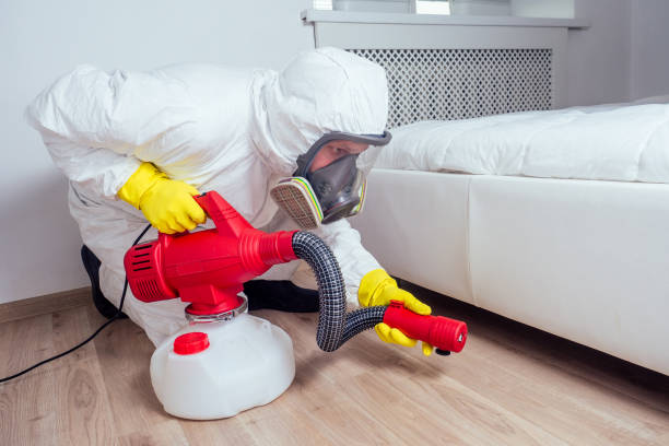 Best Affordable Pest Control Services  in Prescott, AR