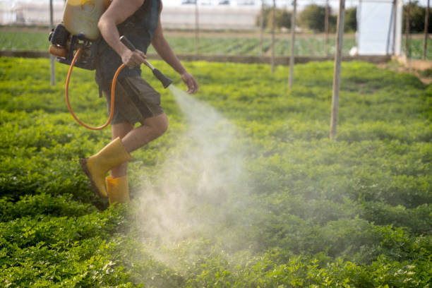 Best Wasp Removal Services  in Prescott, AR