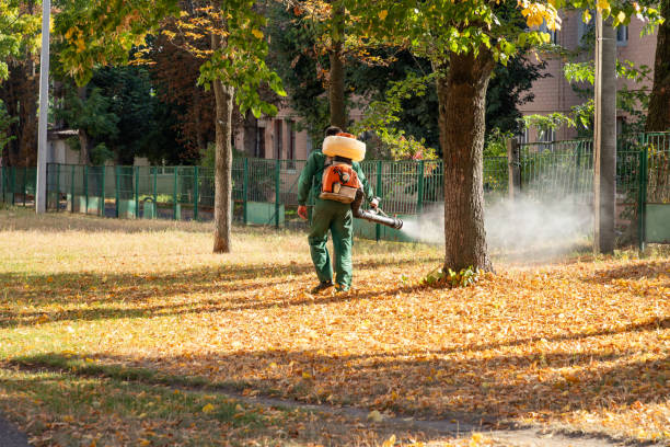 Professional Pest Control in Prescott, AR
