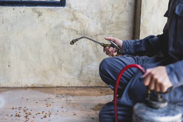 Best Pest Control Treatment  in Prescott, AR