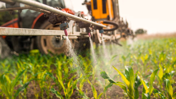 Best Mosquito Control Services  in Prescott, AR